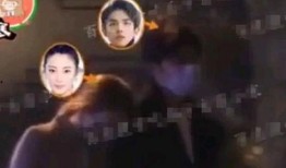 刘大锤最新爆料张雨绮,张雨绮再掀娱乐圈风云